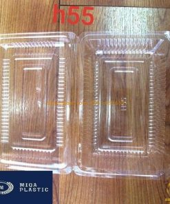 Hộp nhựa chữ nhật H55
