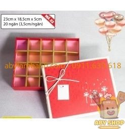 Hộp quà socola 20 viên bồ công anh
