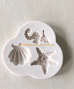 khuôn RC 4D - sò cá ngựa