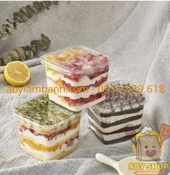 Hộp nhựa vuông nắp đậy B10